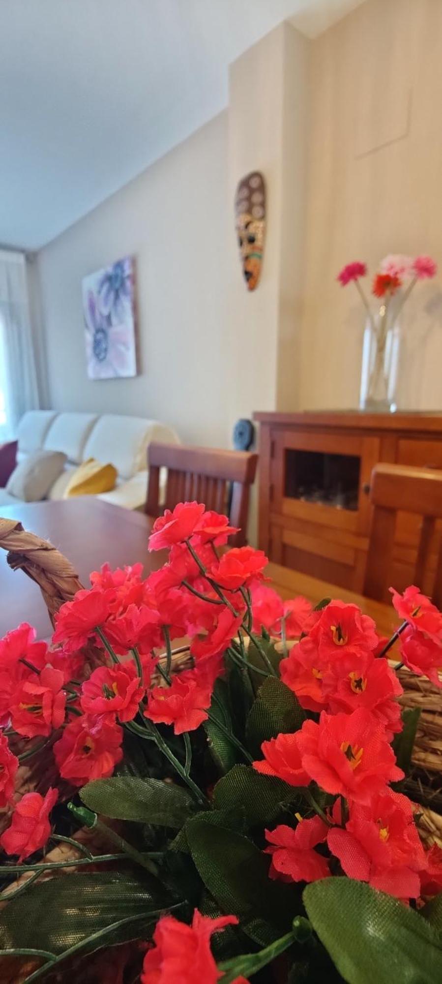 Ca L'Esmolet Appartement Tremp Buitenkant foto